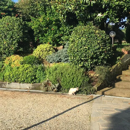 Il Girasole Apartment Bricherasio
